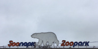 В Ленинградском зоопарке проводится эвакуация